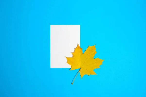 青い背景に秋の紅葉の計画のための白い紙をきれいにする 文字頭のレイアウト — ストック写真