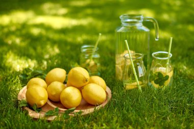 summer picnic on green grass - glass transparent jug of cool refreshing lemonade and three glasses with straws and whole lemons on wooden tray in garden or park