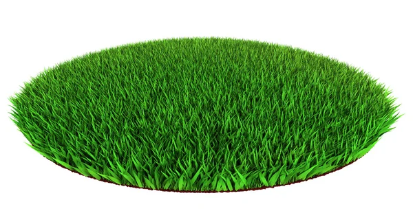 Green grass disc shape — Stock Photo, Image