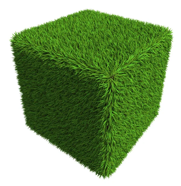 Beyaz arka plan üzerinde izole yeşil çim küp — Stok fotoğraf
