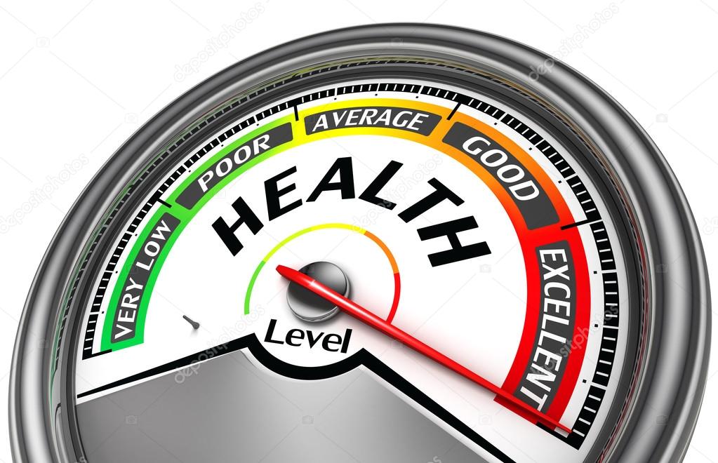 health level conceptual meter