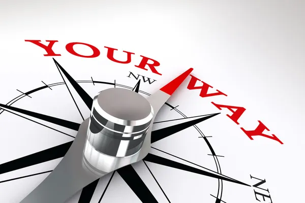 yolunuzu kavramsal pusula gül