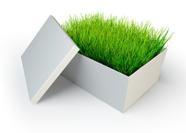 Beyaz açık kutusunda yeşil çimen