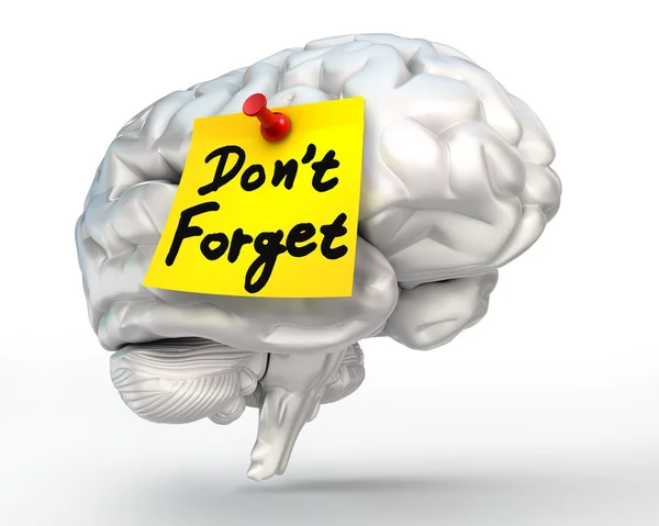 Do not forget reminder note on brain — Stock Photo, Image