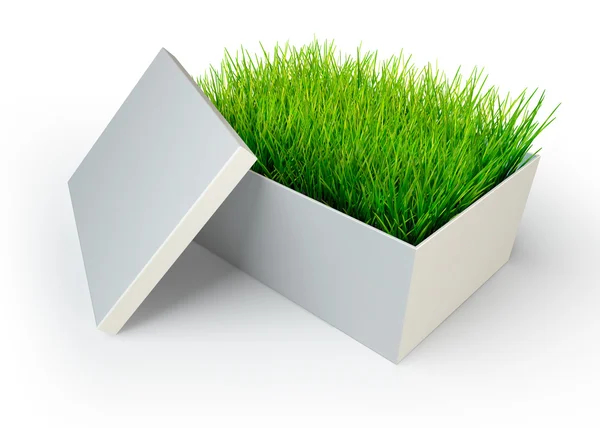 Green grass in white open box — Stock Photo, Image