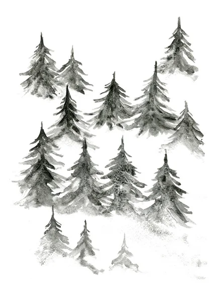 Fond aquarelle avec forêt de sapins gris — Photo