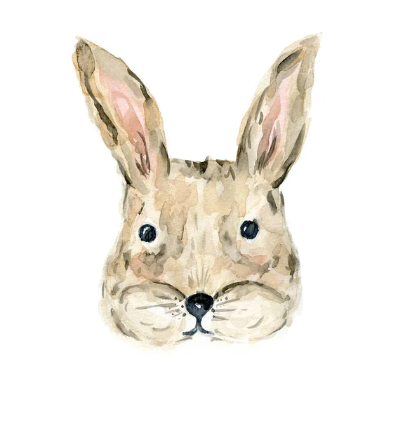 Carino disegnato a mano acquerello coniglio illustrazione — Foto Stock