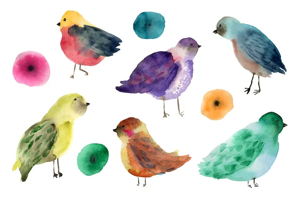 Kolekce roztomilé akvarel doodle ptáků — Stock fotografie