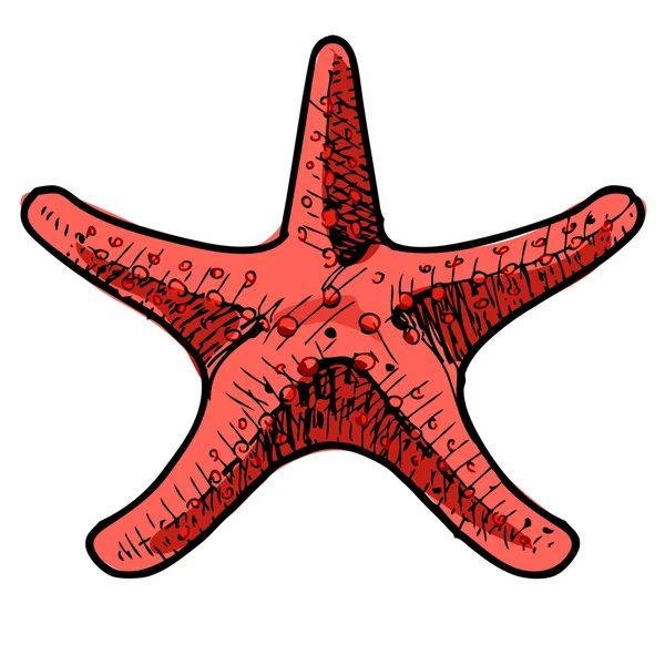 Kleurrijke zee star. — Stockvector