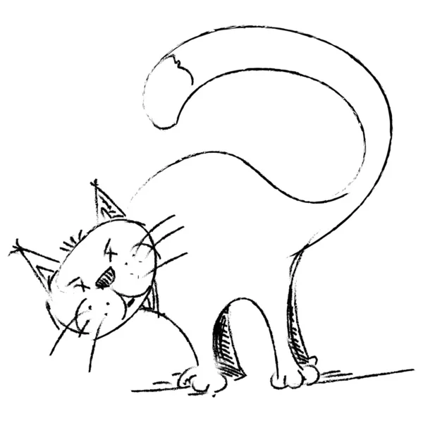 Gato aislado en blanco . — Vector de stock