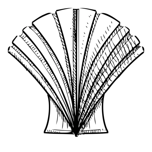 Sea shell. — Stock Vector