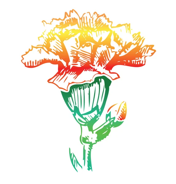 Giallo garofano fiore schizzo icona — Vettoriale Stock