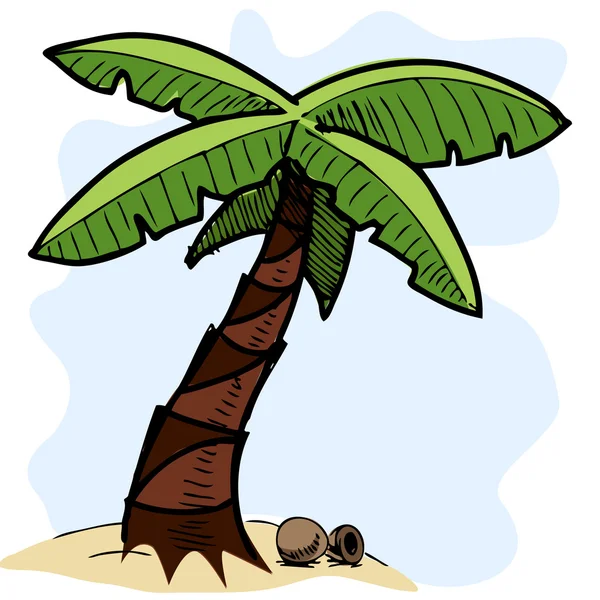 Palmeira tropical ilustração esboço colorido —  Vetores de Stock