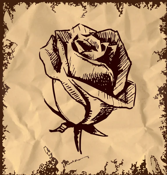 Vintage rose bud skiss illustration — Stock vektor