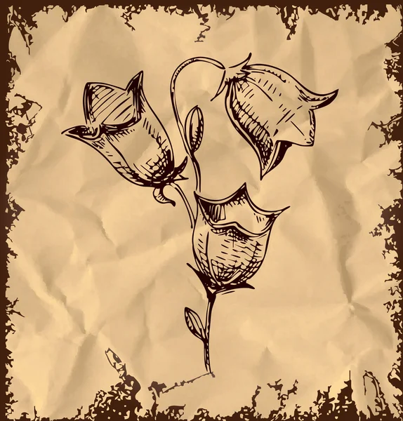 Колокольчик цветок изолирован на винтажном фоне — стоковый вектор