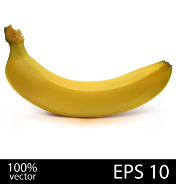 muz. Foto gerçekçi vektör çizim