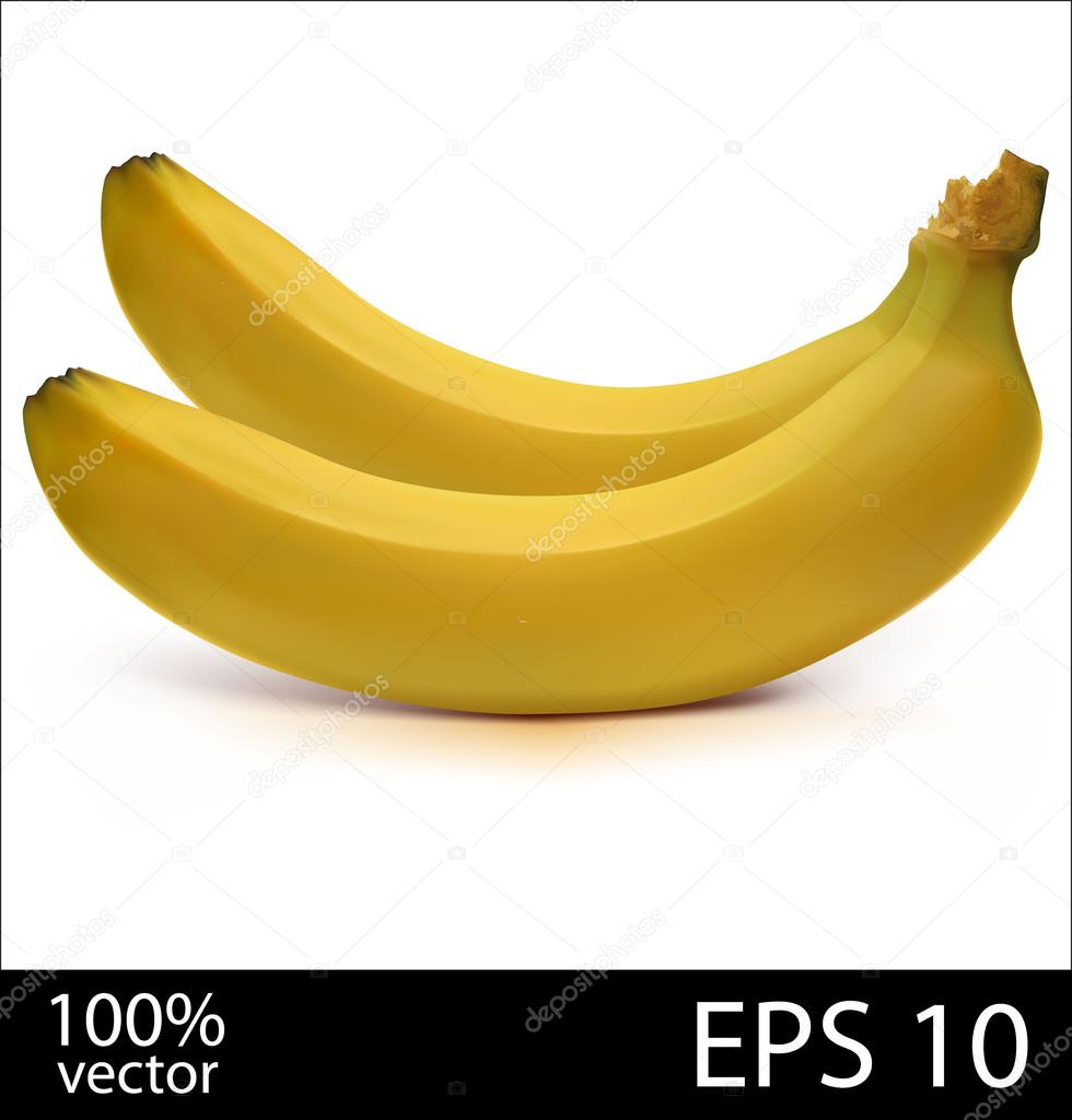 Two bananas in batch photo realistic vector illustration