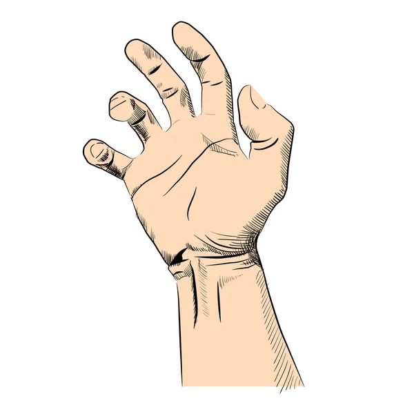 Man's hand geïsoleerd op wit. hand tekenen schets vectorillustratie — Stockvector