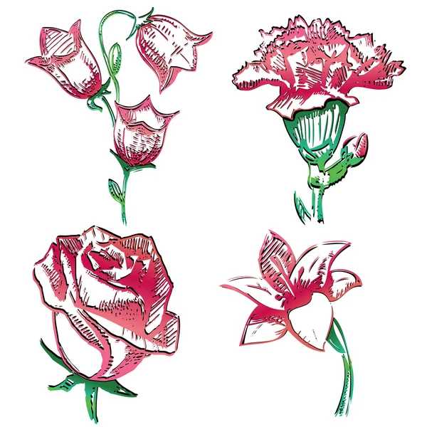 Collectie van bloemen. hand tekenen schets vectorillustratie — Stockvector