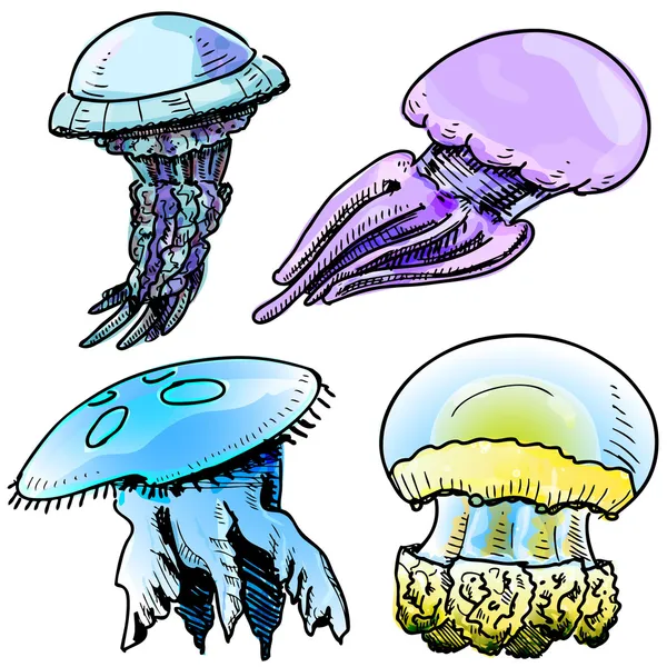 Jelly fish collection. Hand drawing sketch vector illustration — Stock Vector