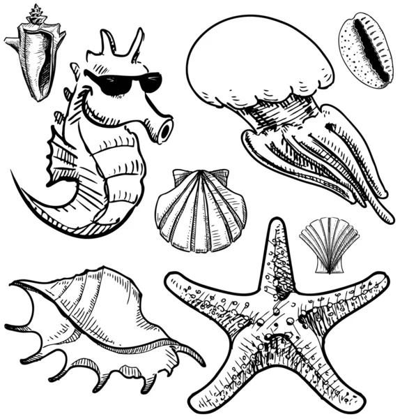 Hewan laut dan ikon pengumpulan kerang terisolasi pada latar belakang vintage. Ilustrasi vektor gambar tangan - Stok Vektor