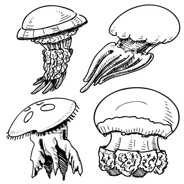 Jelly fish collection. Hand drawing sketch vector illustration Stock Illustration