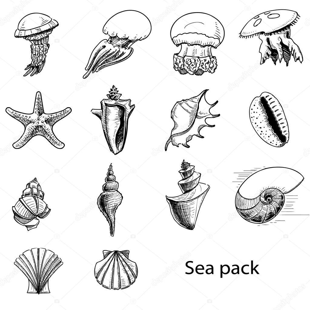 Collection of sea animals. Hand drawing sketch vector illustration