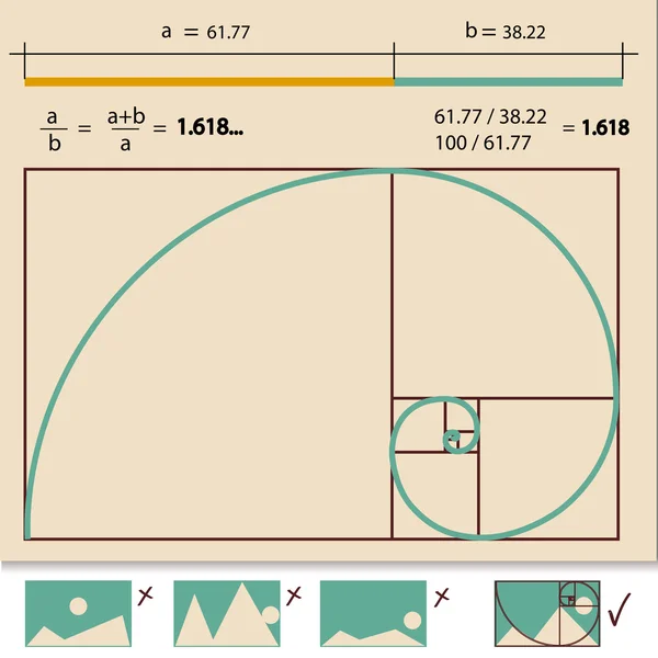 Gouden ratio — Stockvector