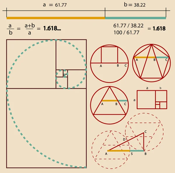 Ratio de oro — Archivo Imágenes Vectoriales