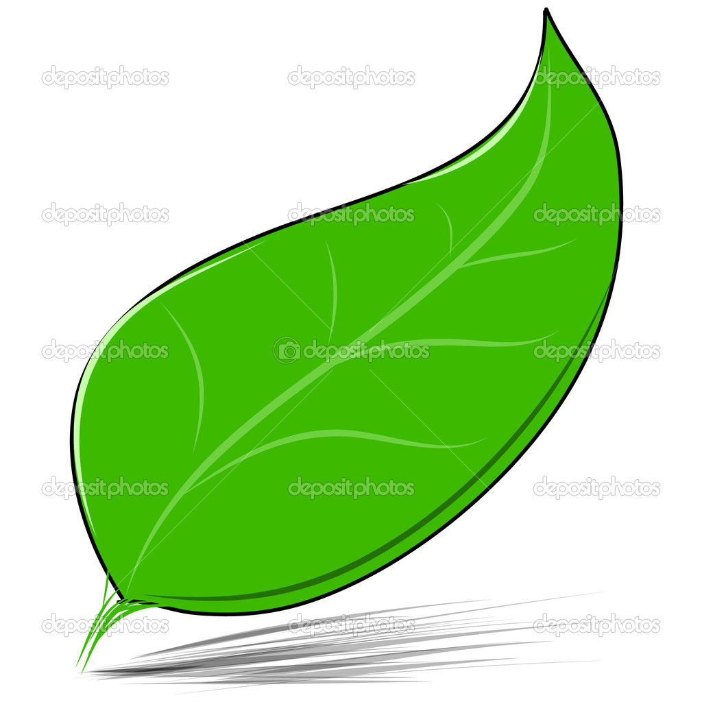 Leaf sketch vector illustration