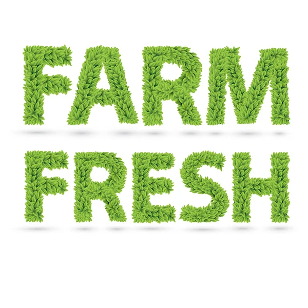 Farm fresh text of green leaves — Stock Vector