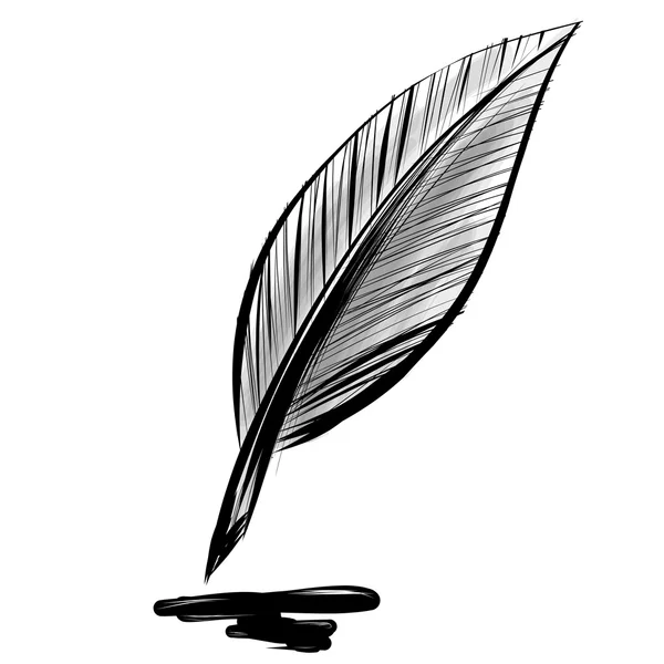 Quick sketch feather — Stock Vector