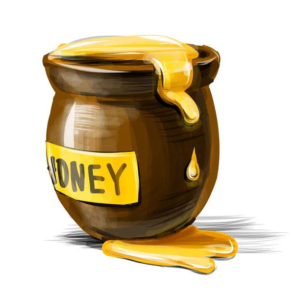 Honey pot isolated on white background — Stock Vector