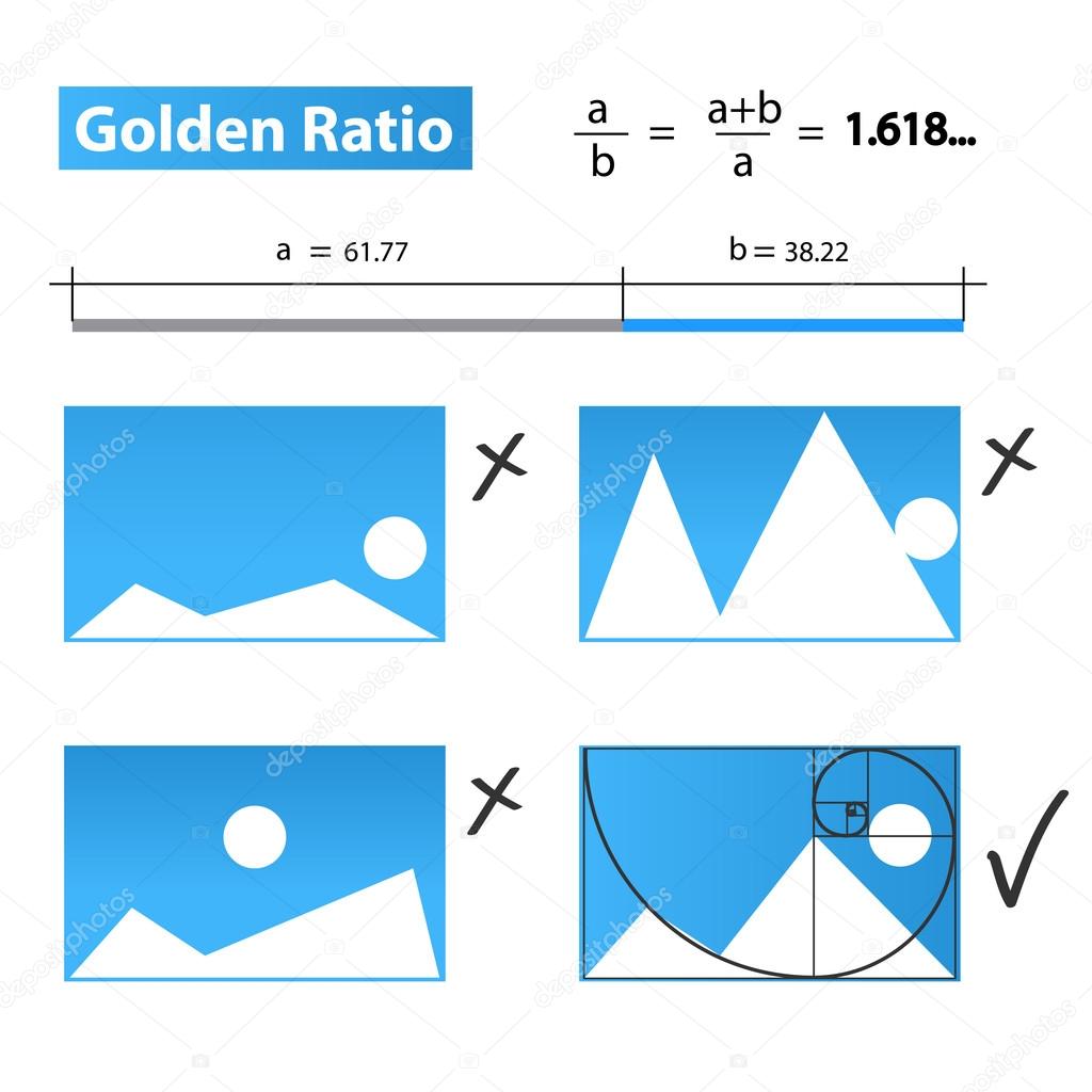 Golden Ratio Golden Proportion Stock Vector Image By ©chuhail 24903611