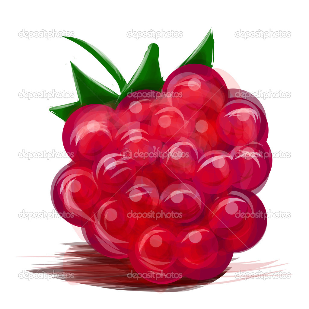 Juicy raspberry isolated on white