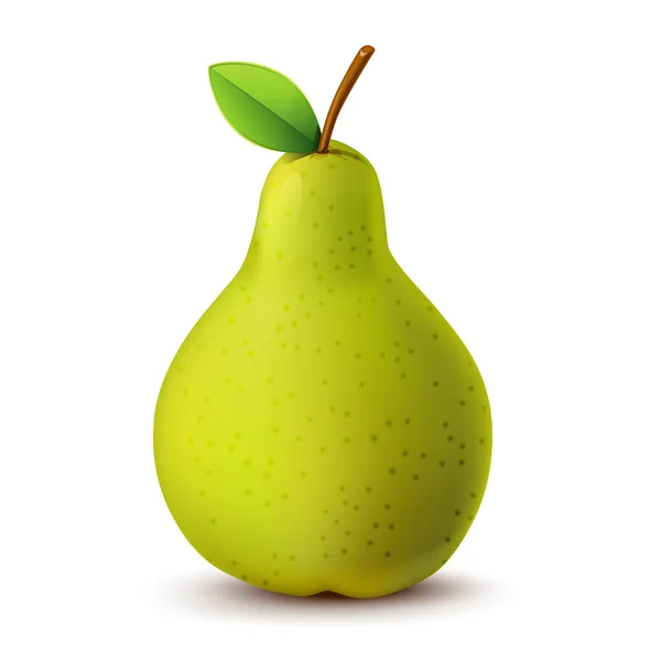 Juicy pear isolated on white — Stock Vector