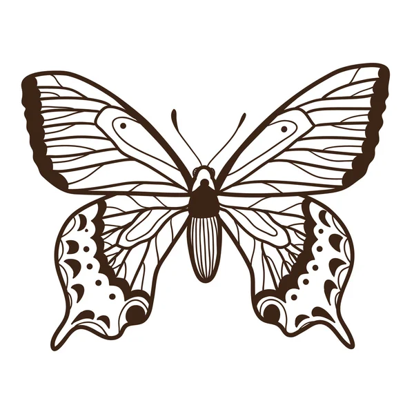 Αφηρημένη γραφική πεταλούδα που απομονώνονται σε λευκό. — Διανυσματικό Αρχείο