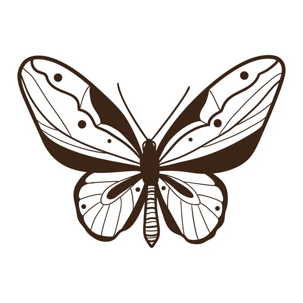 Abstrakte Grafik Schmetterling isoliert auf weiß. — Stockvektor