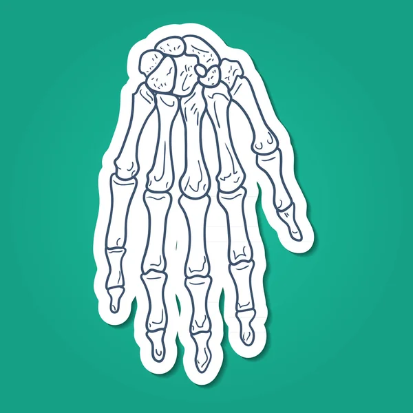 Des os de main. Partie squelette . — Image vectorielle