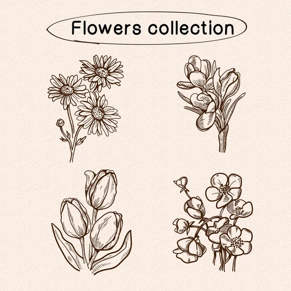 Flores elementos de boceto . — Archivo Imágenes Vectoriales