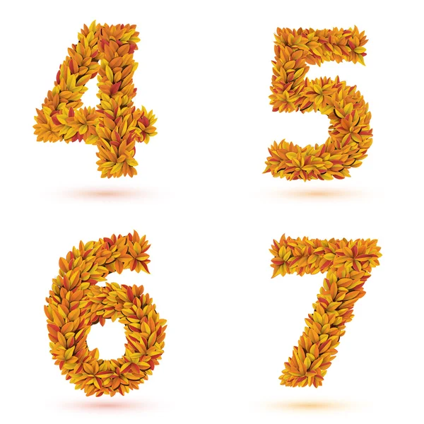 Nombre de feuilles d'automne collection . — Image vectorielle