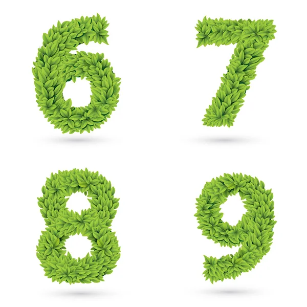 Yeşil yaprak toplama numaraları. — Stok Vektör