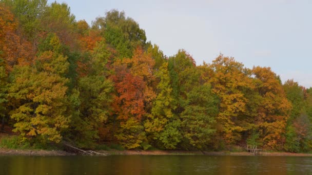 美しい秋の風景、森林湖、川。緑、黄色、赤の葉を持つ木 — ストック動画