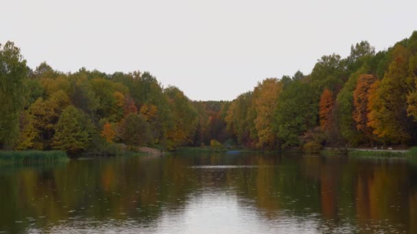 Piękny jesienny krajobraz, jezioro leśne, rzeka. Drzewa z zielonymi, żółtymi i czerwonymi liśćmi — Wideo stockowe