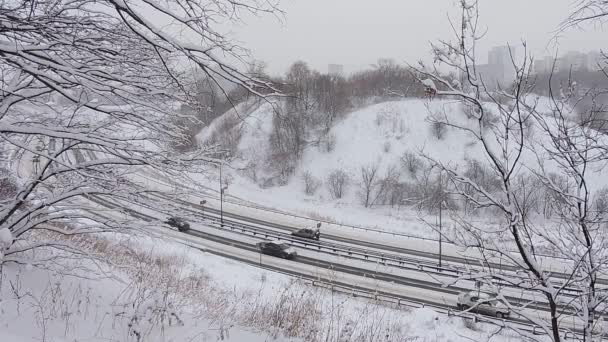 Bilar Kör Snöig Väg Vintern Trafik Motorvägen Snöfall Snöstorm — Stockvideo