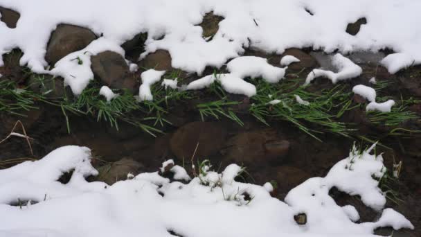 冬だ。山の雪ストリーム、クリーク、川のカバー。流れる水。雪のドリフト — ストック動画