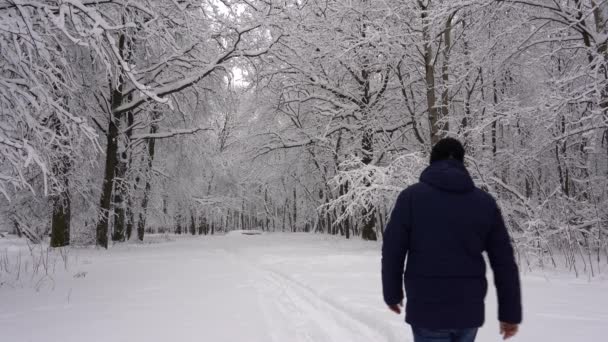 Muž v tmavých šatech kráčí po stezce v lese, park, tam jsou stromy ve sněhu kolem po sněžení — Stock video