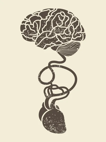 Imagen conceptual del cerebro y el corazón conectados — Vector de stock