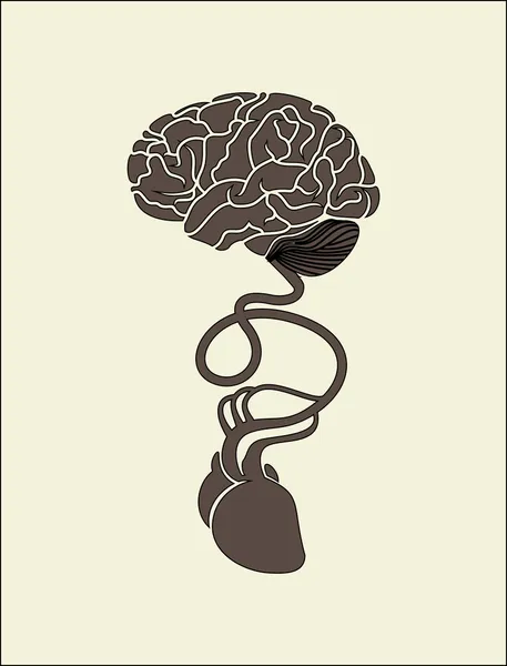 Conceptual image of brain and heart connected together — Stock Vector