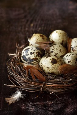 bıldırcın yumurtası.